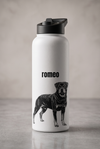 Custom Insulated Water Bottle | Sketch
