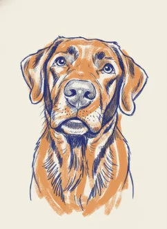 Custom dog portrait sample as a colored sketch